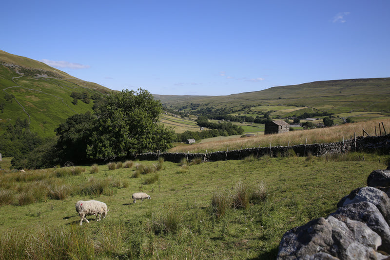 Wensleydale Villages