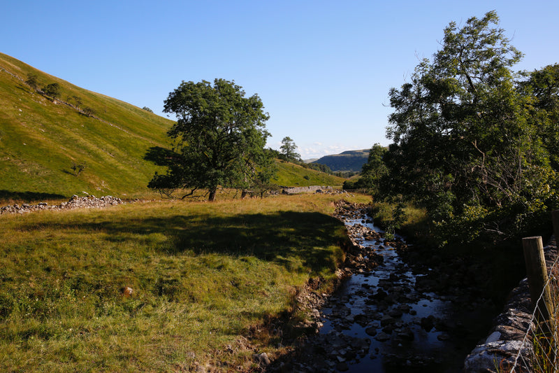 Additional Highlights Along the Route